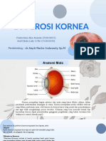 BST Chairunissa Andi Erosi Kornea FIX