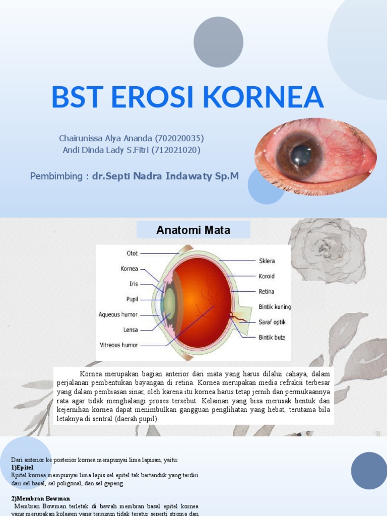 Erosi Kornea: Definisi dan Penanganan | PDF