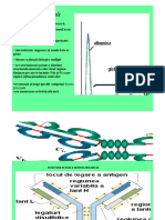 Curs 3 Imunologie MD