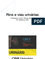 Anatomia Rins Vias Urinárias