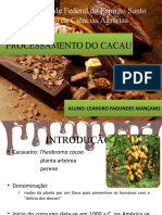 Processamento do cacau e produção de chocolate
