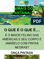 Animais Do Pantanal