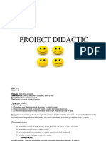12 Proiecte DP