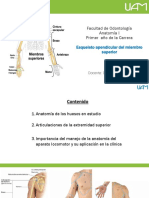 Facultad de Odontología Anatomía I Primer Año de La Carrera