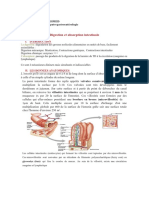 Physio Digestion - Absorption - Intestinale