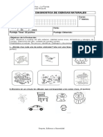 PRUEBA DIAGNOSTICO 1°básiconaturaleza