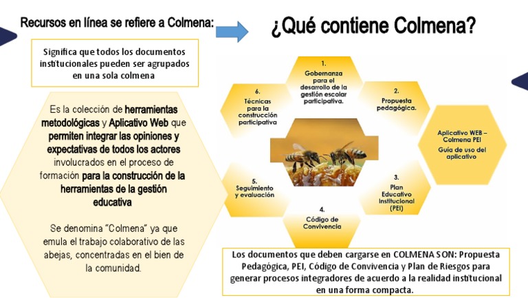 Colmena PDF
