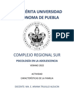 Benemérita Universidad Autónoma de Puebla: Complejo Regional Sur