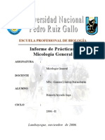 Prácticas de Micología General 2007-I