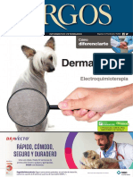 Dermatología: Electroquimioterapia