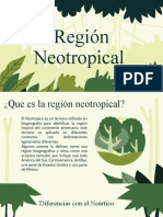 Region Neotropica
