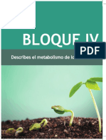 Metabolismo Libro