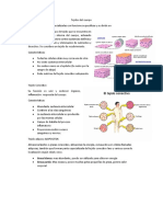 Tejidos Del Cuerpo