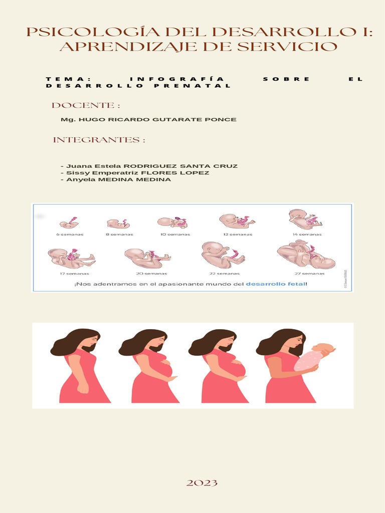 Infografia Del Desarrollo Prenatal | PDF | Feto | El embarazo
