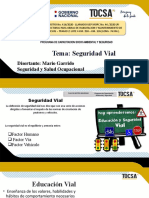 Tema: Seguridad Vial: Disertante: Mario Garrido Seguridad y Salud Ocupacional