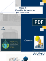 Clase 4. Identificación de bacterias por coloración (2) (2)