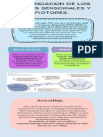 Infog4 Sens Mot T3