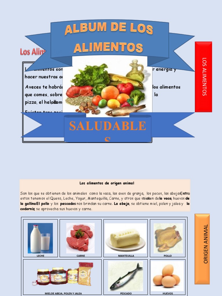 Orígenes de los Alimentos: Animal, Vegetal, Mineral | PDF | Alimentos ...