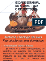 Anatomia Das Aves