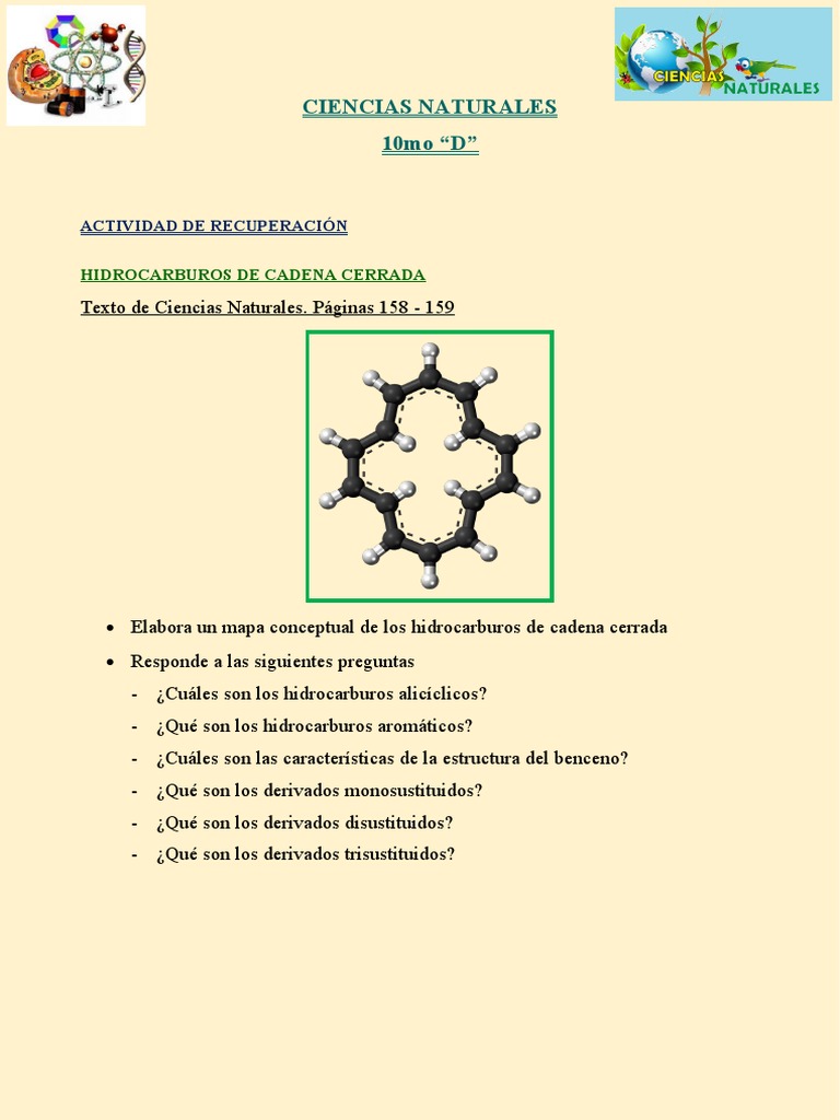 Hidrocarburos en Ciencias Naturales 10mo | PDF
