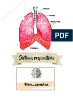 Kine Apuntes Sistema Respiratorio