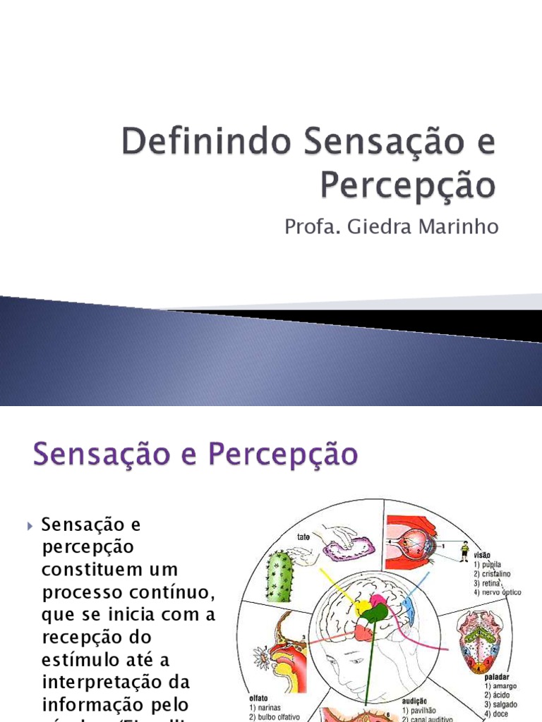 Psicologia I - Sensação e Percepção | PDF | Percepção | Estímulo ...