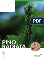 FICHA PINO RADv2 b