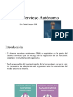 Sistema Nervioso Autónomo: Estructura y Función