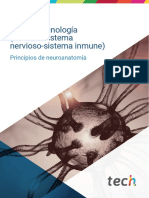 Neuroinmunología (Relación Sistema Nervioso-Sistema Inmune) : Principios de Neuroanatomía