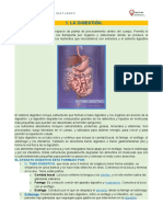 Nutricion Digestion