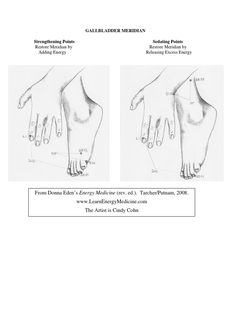 Gallbladder Meridian Techniques | PDF