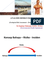 Analisis Risiko Ekologis Dan Kesehatan: Tri Septian Maksum, S.KM., M.Kes