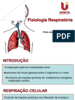 Fisiologia Respiratória