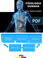 Fisiologia Humana: Profa. Andrine Navarro