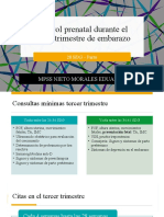 Control Prenatal Durante El Tercer Trimestre de Embarazo: Mpss Nieto Morales Eduardo