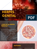 Herpes Genital