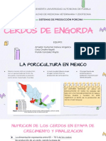 Cerdos de Engorda: Benemerita Universidad Autonoma de Puebla Facultad de Medicina Veterinaria Y Zootecnia
