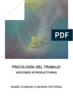 Morán Astorga, MC (2005) Psicología Del Trabajo. Nociones Introductorias