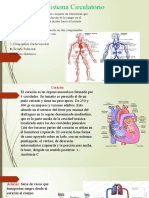 Sistema Circulatorio