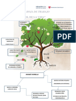 Hoja de Trabajo - Arbol de Vida