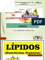 10 - SESION - LIPIDOS.pptx