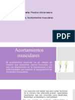 Acortamientos Musculares