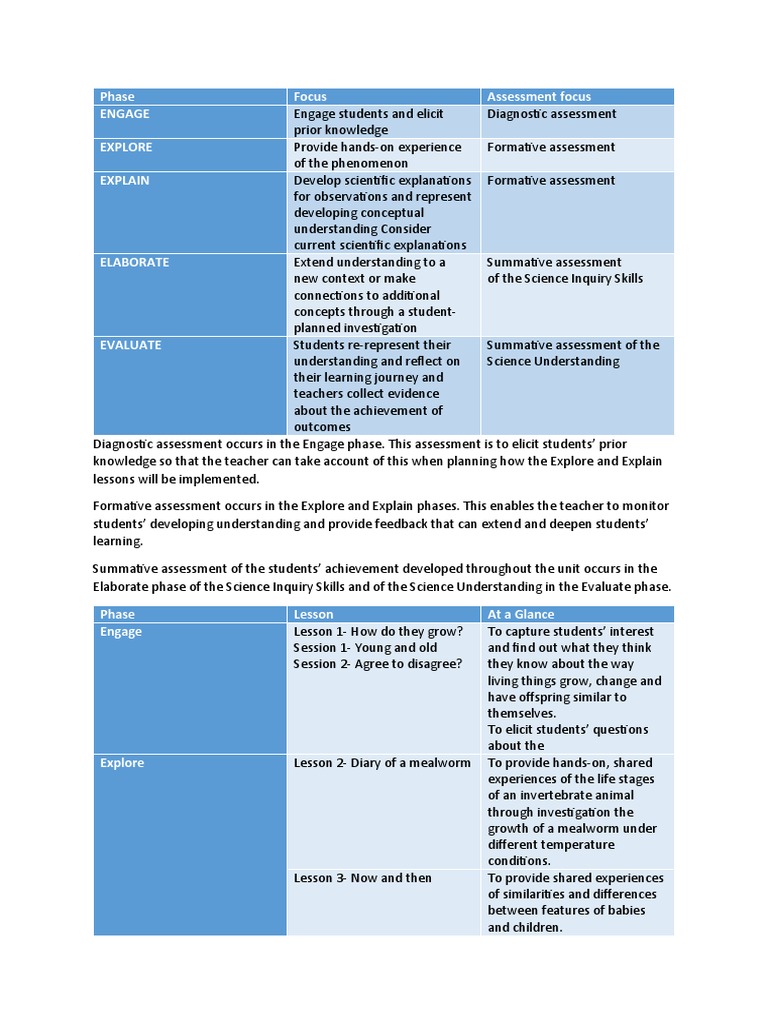 Lesson Plan Example Mealworms PDF Educational Assessment