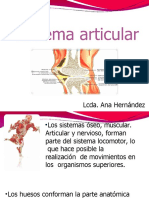 Sistema locomotor: articulaciones, tipos y funciones