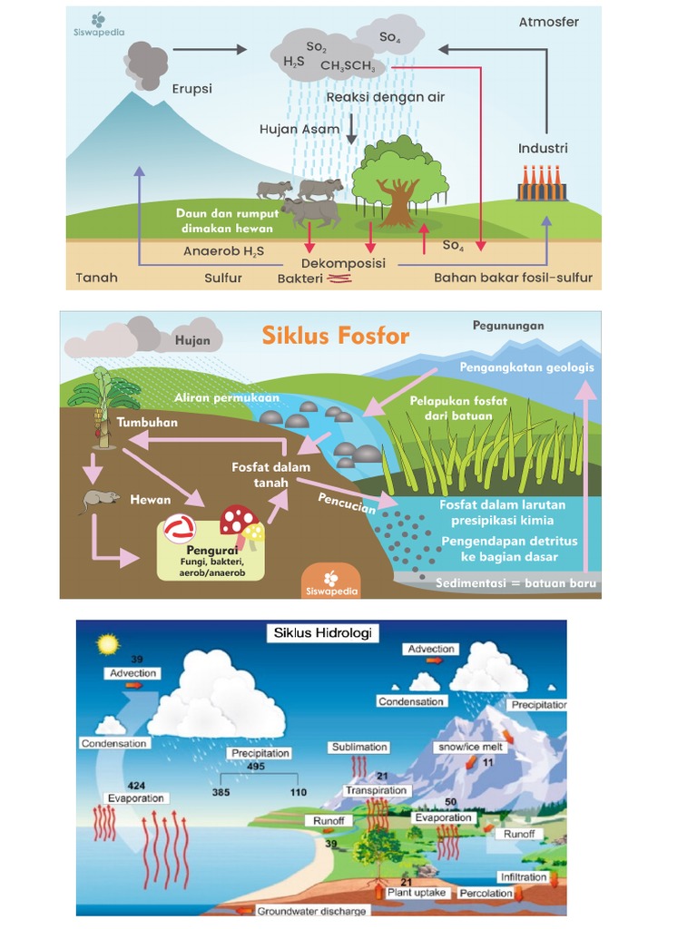 Gambar Siklus | PDF