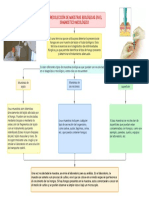 La Recolección de Muestras Biológicas en El Diagnostico Micológico