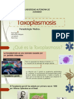 Toxoplasmosis