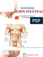 Regioninguinalyfemoral