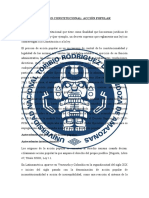 Proceso Constitucional: Acción Popular Aspectos Generales