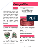 Anatomia Protética